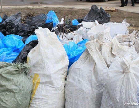 Минэкологии Башкортостана: жителей села надо приучить собирать и сдавать мусор в мешках