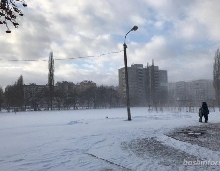 МЧС Башкортостана предупреждает об усилении ветра до 20 м/с