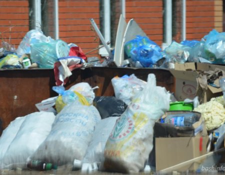 Жители Башкортостана могут сообщить Радию Хабирову о проблемах с вывозом мусора через соцсети