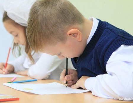 Госдума приняла инициированные парламентом Башкортостана поправки к закону об образовании