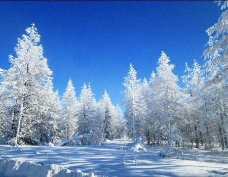 Какая погода ожидается в Башкортостане в феврале 2019 года