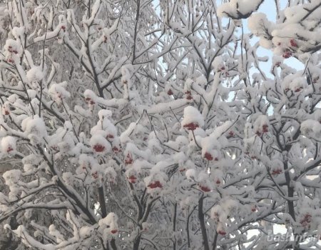 МЧС Башкирии предупреждает о снегопаде и морозах до -29 градусов