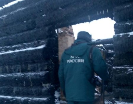 В Башкортостане в огне погибла годовалая девочка: стало известно, почему она осталась дома одна
