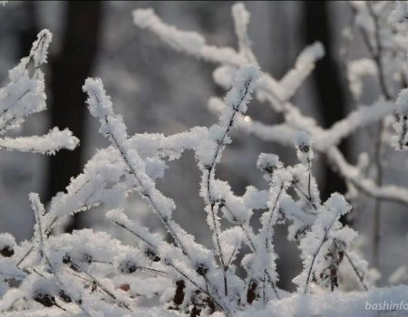 В Башкортостане в некоторых районах похолодает до -23 градусов