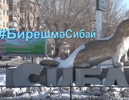 В Башкортостане запустили акцию #ДержисьСибай