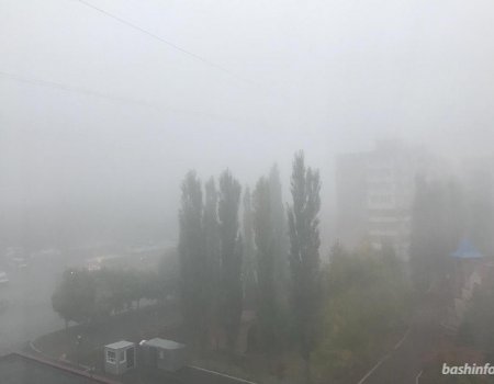 В Башкортостане прогнозируют туман с ухудшением видимости до 50 метров
