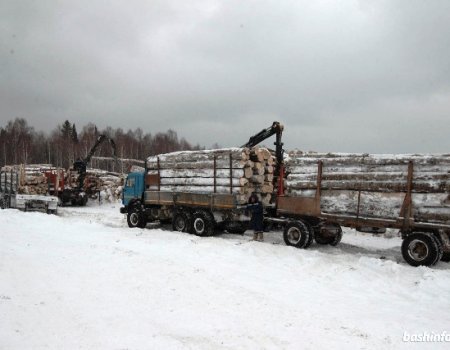 Лесозаготовителям Башкортостана нужны субсидии для приобретения спецтехники