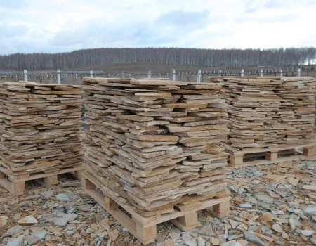 В Башкортостане возбуждено еще одно уголовное дело по факту незаконной добычи камня-плитняка