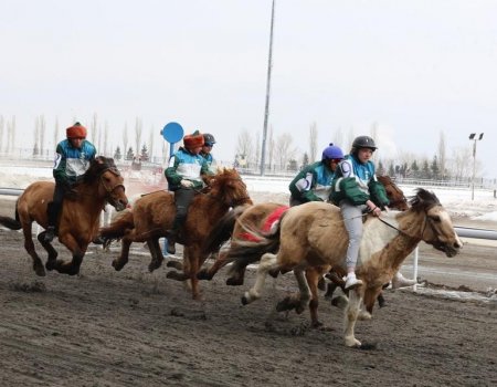 В Уфе прошел первый этап конно-спортивного турнира «Терра Башкирия»