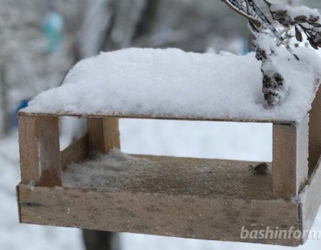 В Башкортостане март завершится мокрым снегом с дождем и сильным ветром