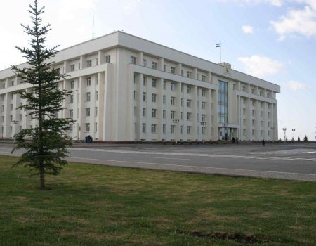 В состав Молодежного правительства Башкортостана войдет 19 человек