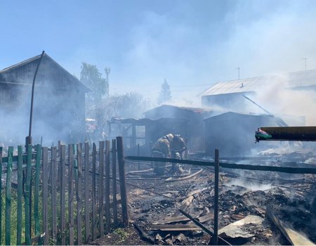 В селе Булгаково крупный пожар спалил все дворовые постройки