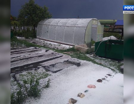 Зима в июне: в Башкортостане выпал крупный град со снегом