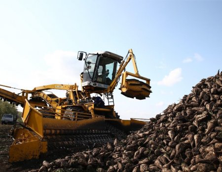 Отходы переработки Чишминского сахарного завода перестанут отравлять окружающую среду
