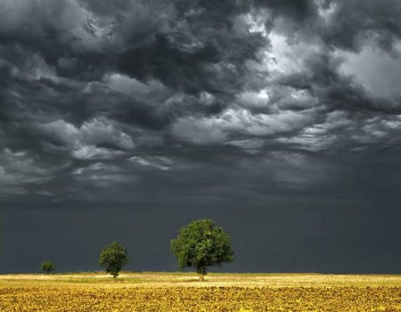 Шквалистый ветер, грозы, дожди: МЧС Башкортостана предупреждает о неблагоприятных явлениях