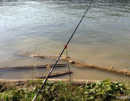 В Башкортостане вступил в силу закон о любительском рыболовстве