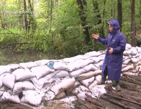 В Башкортостане на месте выброса химикатов в реку установили «умную дамбу»