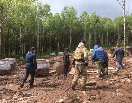 В Белорецком районе правоохранительные органы пресекли незаконную добычу природного камня