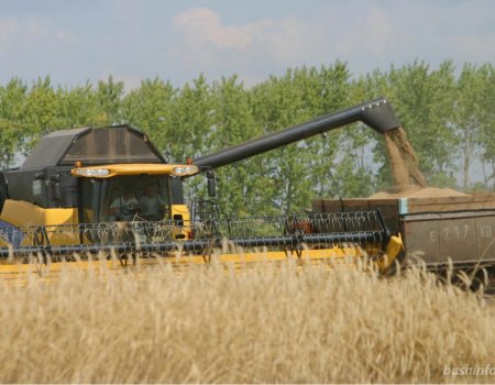 В Башкортостане урожай зерновых ожидается на уровне 3 миллионов тонн