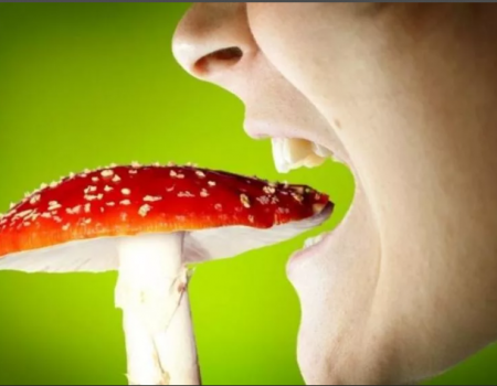 В Минздраве Башкортостана рассказали, что делать при отравлении грибами