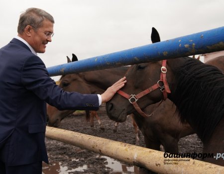 В Мелеузе Радий Хабиров ознакомился с работой конно-спортивного комплекса «Тулпар»