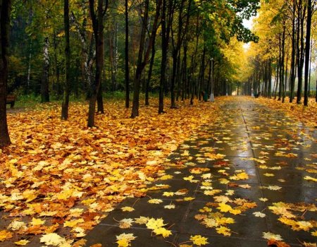 Башгидромет: вся неделя в Башкортостане будет холодной и пасмурной
