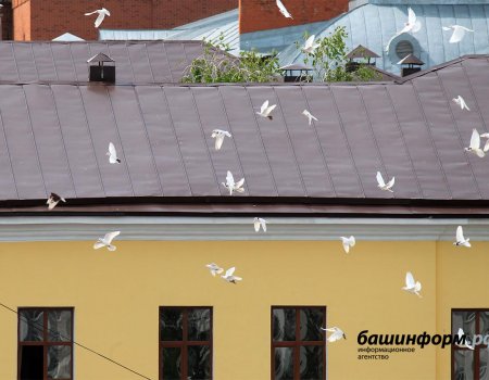 В Уфе в память о трагедии в Беслане в небо запустят белых голубей