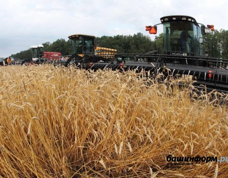 В Башкортостане собрано более 2 млн тонн зерна нового урожая