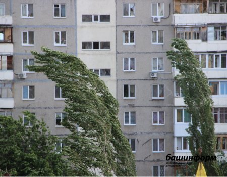 «Полная буря»: МЧС Башкортостана предупреждает о сильных порывах ветра до 26 м/с