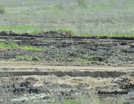 Радий Хабиров о состоянии дорог в Башкортостане: «Мусор надо лопатой выгребать»