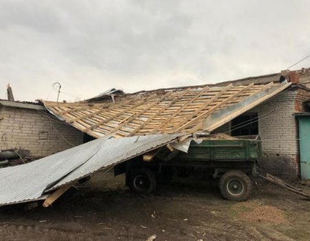 На борьбу с последствиями урагана Башкортостана выделил 4 млн рублей