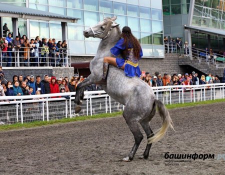 28 сентября в Уфе состоится очередной этап конного турнира «Терра Башкирия»