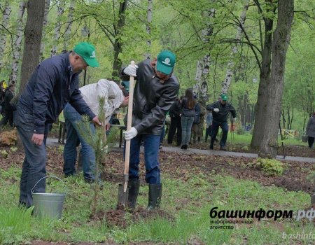 Глава Башкортостана проконтролирует результаты акции по посадке деревьев