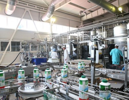 Хозяйства шести районов производят треть товарного молока в Башкортостане
