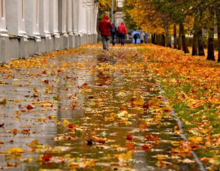 На смену «бабьему лету» в Башкортостан приходит настоящая осень