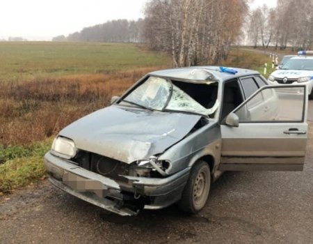 В Башкортостане под колесами «ВАЗ-2114» погиб 21-летний пешеход