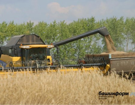 Дожди не помешали аграриям Башкортостана собрать рекордные 3,3 млн тонн зерна