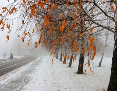 В ближайшие три дня жителей Башкортостана ждет снег, гололед и 10 градусов мороза