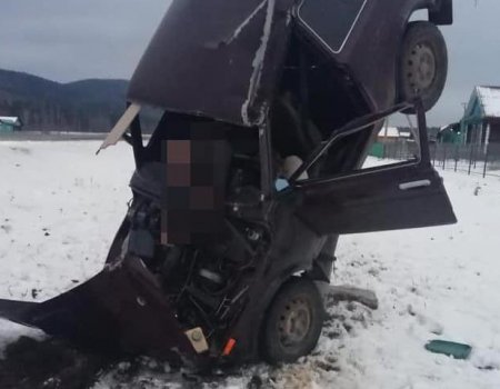 В Башкортостане «Нива» врезалась в опору электропередачи, водитель погиб