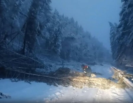 Трассу Белорецк - Авзян завалило снегом и упавшими деревьями