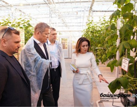 В Башкортостане в фермерском тепличном хозяйстве будут выращивать баклажаны и перец