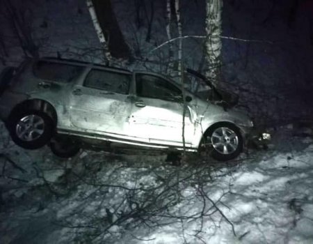 В Башкортостане на трассе автомобиль насмерть сбил лошадь: пострадали четыре человека
