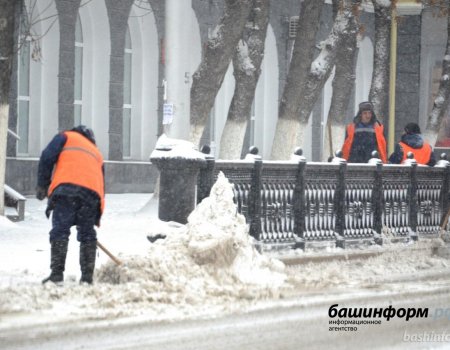 Ульфат Мустафин раскритиковал чиновников за уборку первого снега в Уфе