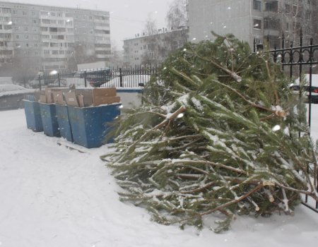 В Башкортостане на Новый год мусор будет вывозиться без выходных