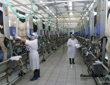 В Башкортостане в 2020 году начнут работать девять животноводческих ферм