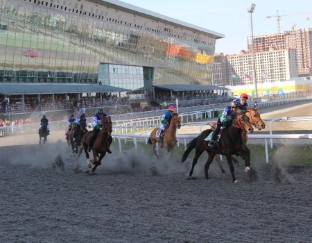 Первый этап конного турнира «Терра Башкирия» в 2020 году пройдет 22 февраля