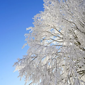 В начале недели в Башкортостане похолодает до 25 градусов мороза