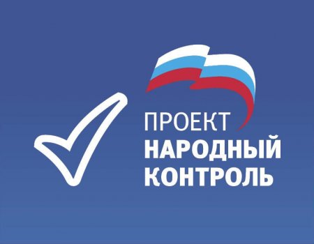 В Башкортостане партийный проект «Народный контроль» призывает жителей сообщать информацию о производителях и продавцах суррогата