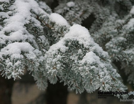 В Башкортостане в новогоднюю ночь ожидается снегопад
