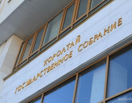 Самые обсуждаемые и резонансные законы 2019 года, принятые Госсобранием Башкортостана